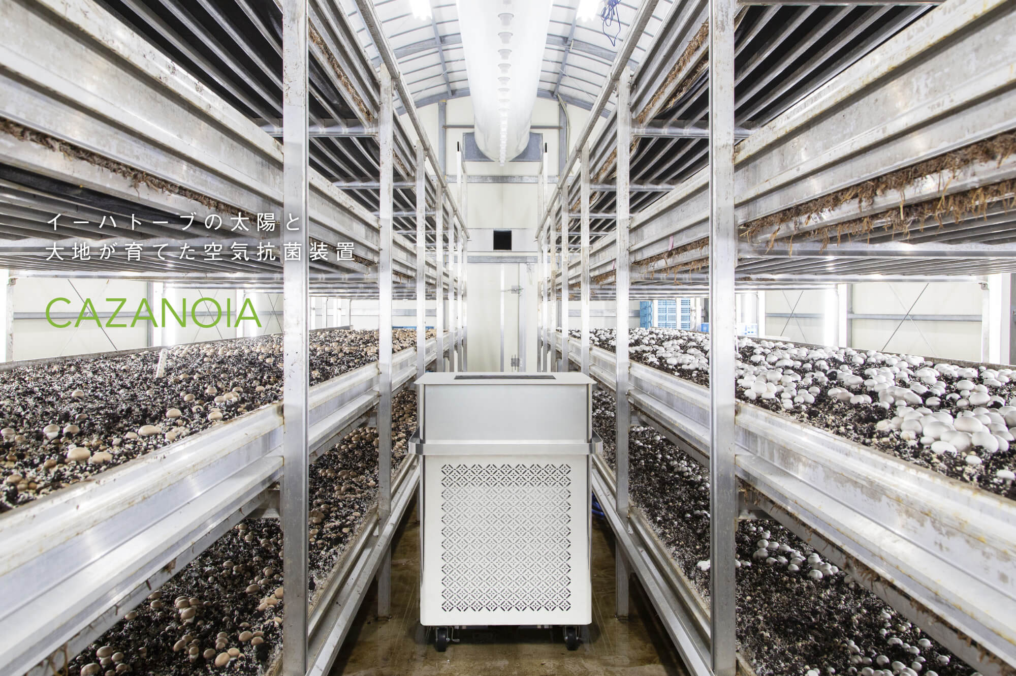 CAZANOIA スライダー04