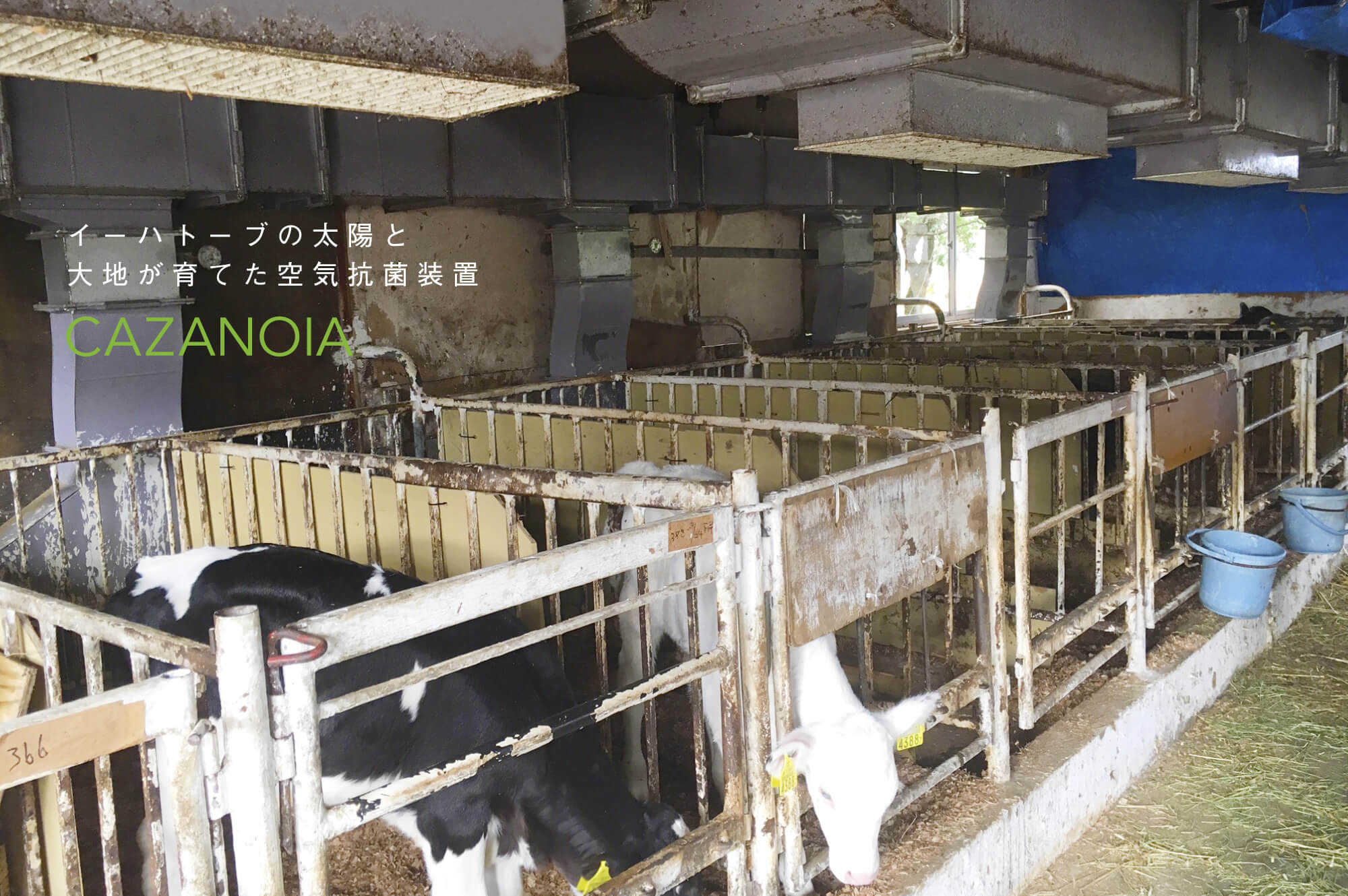 CAZANOIA スライダー05